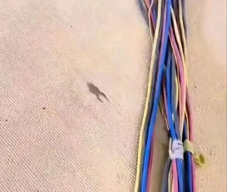 不紧急加座, FPOYZ, EKgty 不紧急加座, FPOYZ, EKgty